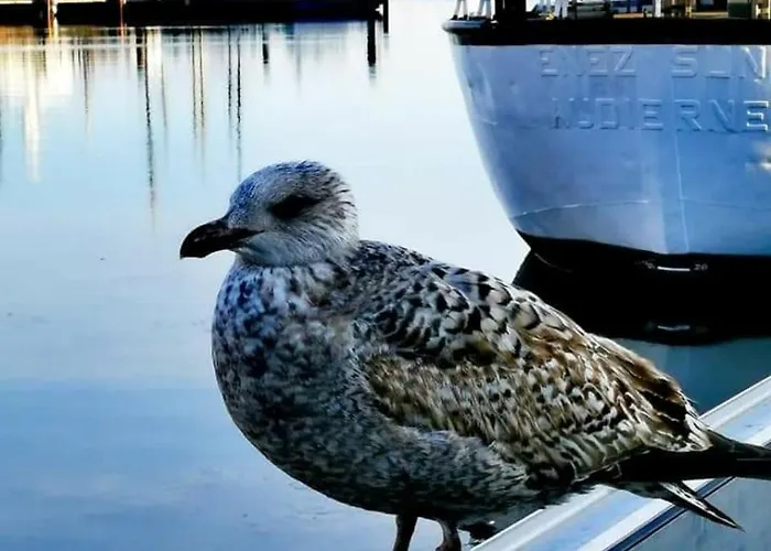 Neu !!! Smaragd Casa de Férias Heiligenhafen